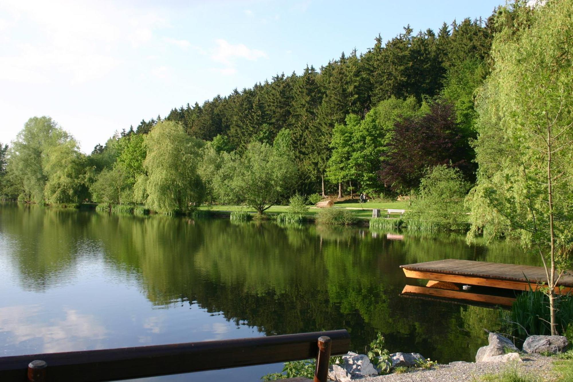 Ferienwohnung "Kirchblick" Im Ferienhaus Blumenhain Bad Wünnenberg Exteriör bild